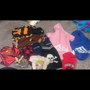 Dog clothes bundle!!!